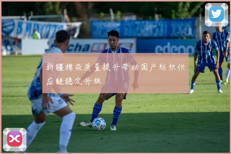 新疆棉花质量提升带动国产纺织供应链稳定升级